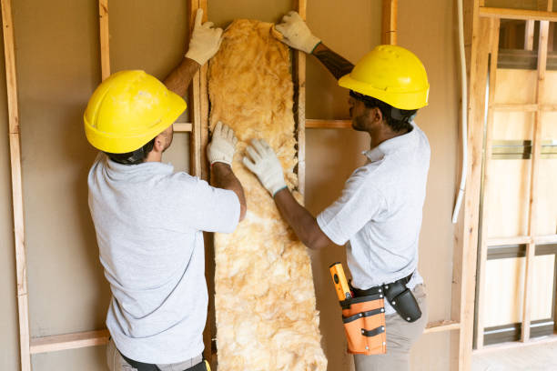 Eco-Friendly or Green Insulation Solutions in Prairie Ridge, WA